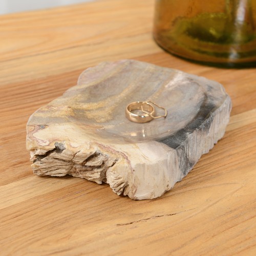 Fossiles holz seifenschale - fossiles, ca